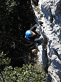 IMG_6556