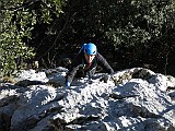 IMG_6557