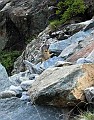 IMG_0787