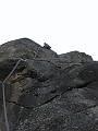 IMG_0795
