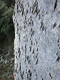 IMG_8040