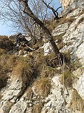 IMG_9684