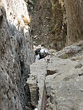 IMG_9686