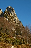 IMG_9322