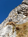 IMG_9339