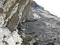 IMG_1817