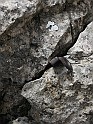 IMG_8305