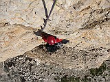 IMG_0195
