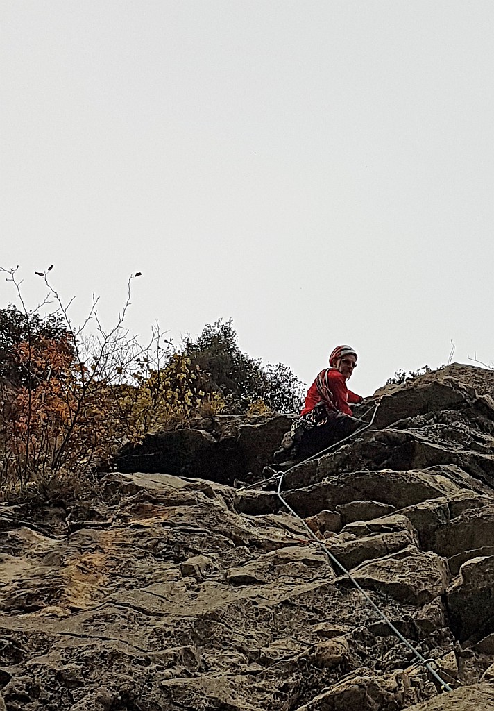 20161120_121422.jpg - I blocchi del penultimo tiro