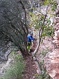 IMG_6296