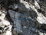 IMG_9258