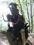 IMG_9337