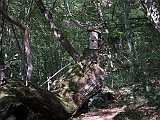 IMG_9345