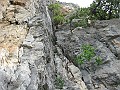 IMG_0548