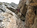 IMG_0553