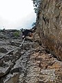 IMG_0559