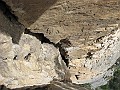 IMG_0564