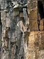 IMG_0568