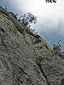 IMG_0571