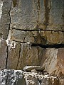 IMG_0572