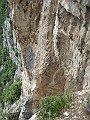 IMG_0574