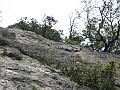 IMG_0575