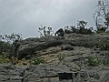 IMG_0576