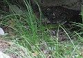 IMG_0579