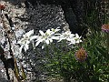 IMG_1397