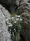 IMG_5196