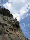 IMG_8501