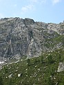 IMG_8202
