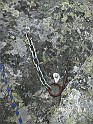 IMG_8213