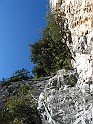 IMG_9186
