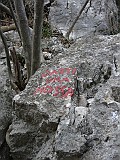 IMG_0042