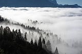 IMG_0423