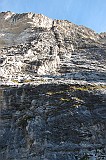 IMG_0448