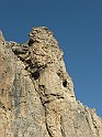 IMG_8995