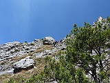 P1050938