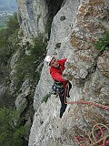IMG_6985