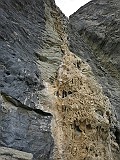 IMG_6979
