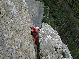 IMG_6981