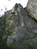 IMG_6993