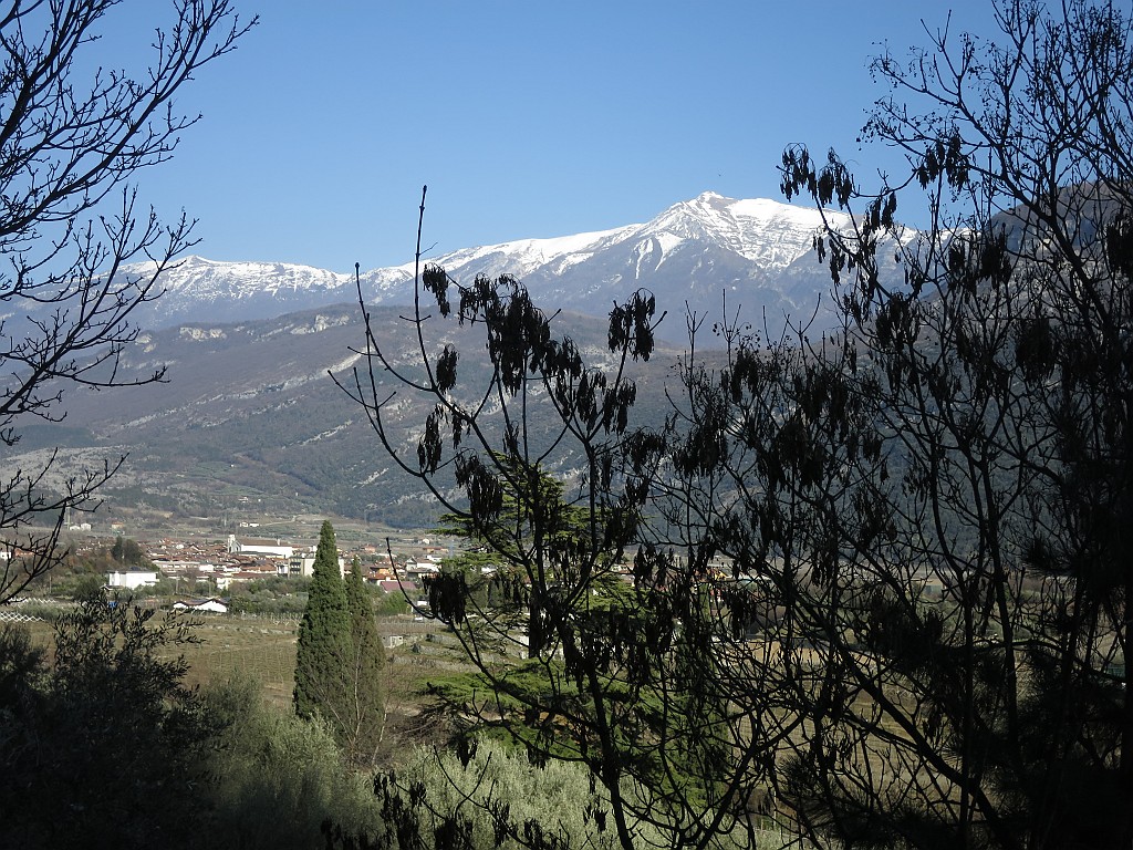 IMG_0080.JPG