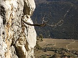 IMG_0072