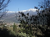 IMG_0080