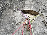 IMG_20190223_104804