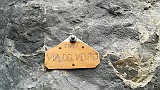 IMG_20170930_085554