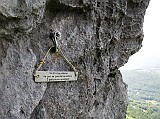 IMG_0775