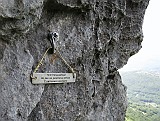 IMG_0775_Small
